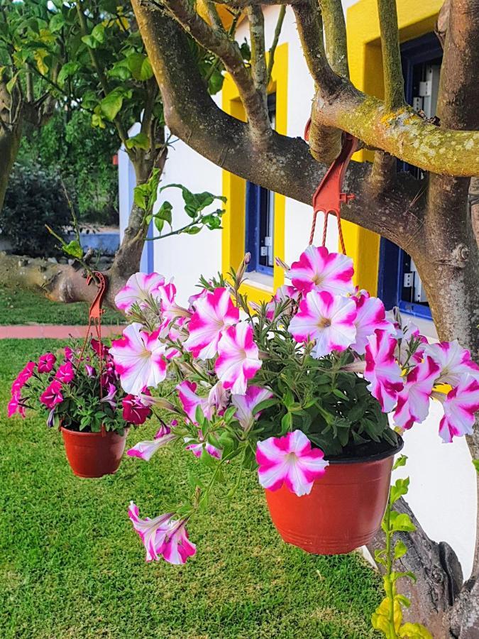הוילה סאו מרטיניו דו פורטו Sondela Self Catering מראה חיצוני תמונה