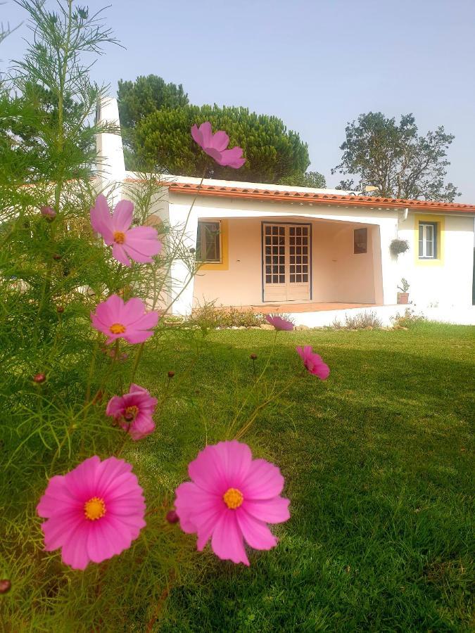 הוילה סאו מרטיניו דו פורטו Sondela Self Catering מראה חיצוני תמונה