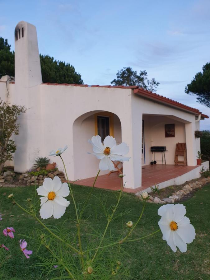הוילה סאו מרטיניו דו פורטו Sondela Self Catering מראה חיצוני תמונה