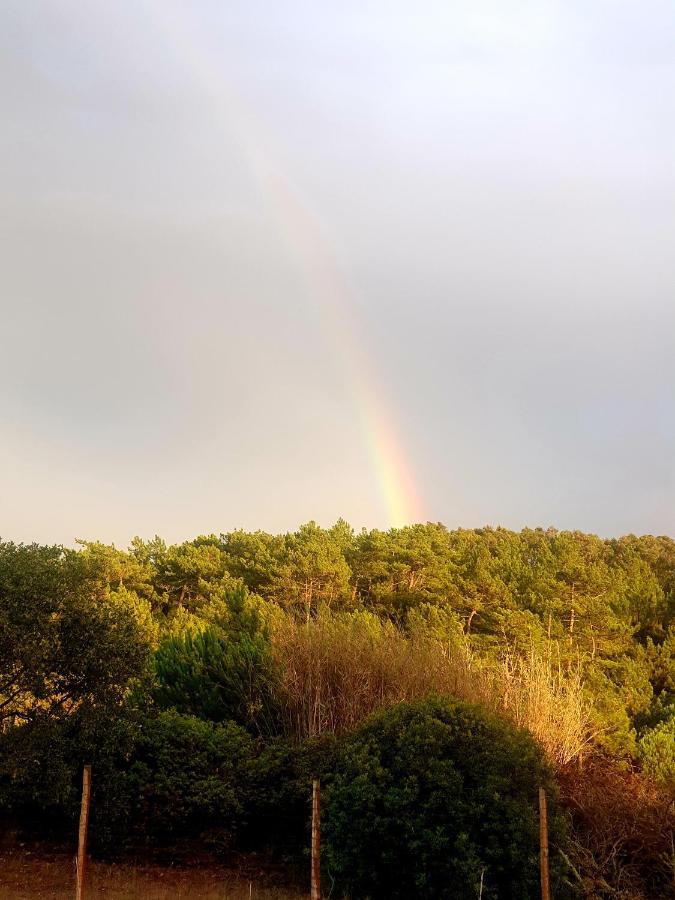 הוילה סאו מרטיניו דו פורטו Sondela Self Catering מראה חיצוני תמונה