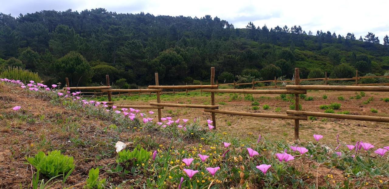 הוילה סאו מרטיניו דו פורטו Sondela Self Catering מראה חיצוני תמונה