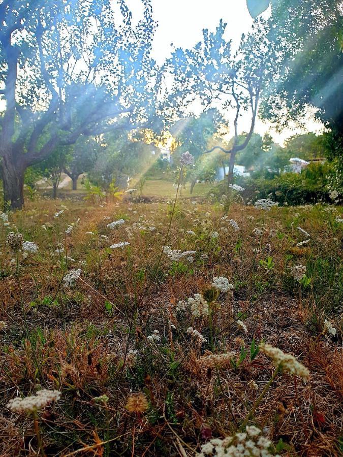 הוילה סאו מרטיניו דו פורטו Sondela Self Catering מראה חיצוני תמונה