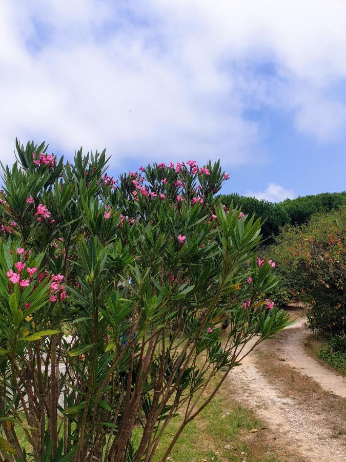 הוילה סאו מרטיניו דו פורטו Sondela Self Catering מראה חיצוני תמונה