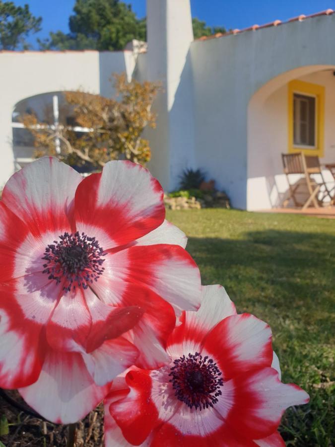 הוילה סאו מרטיניו דו פורטו Sondela Self Catering מראה חיצוני תמונה