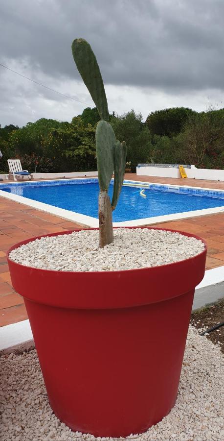הוילה סאו מרטיניו דו פורטו Sondela Self Catering מראה חיצוני תמונה